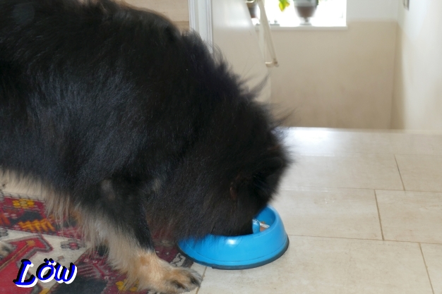 11.12.2025 - Schmatz